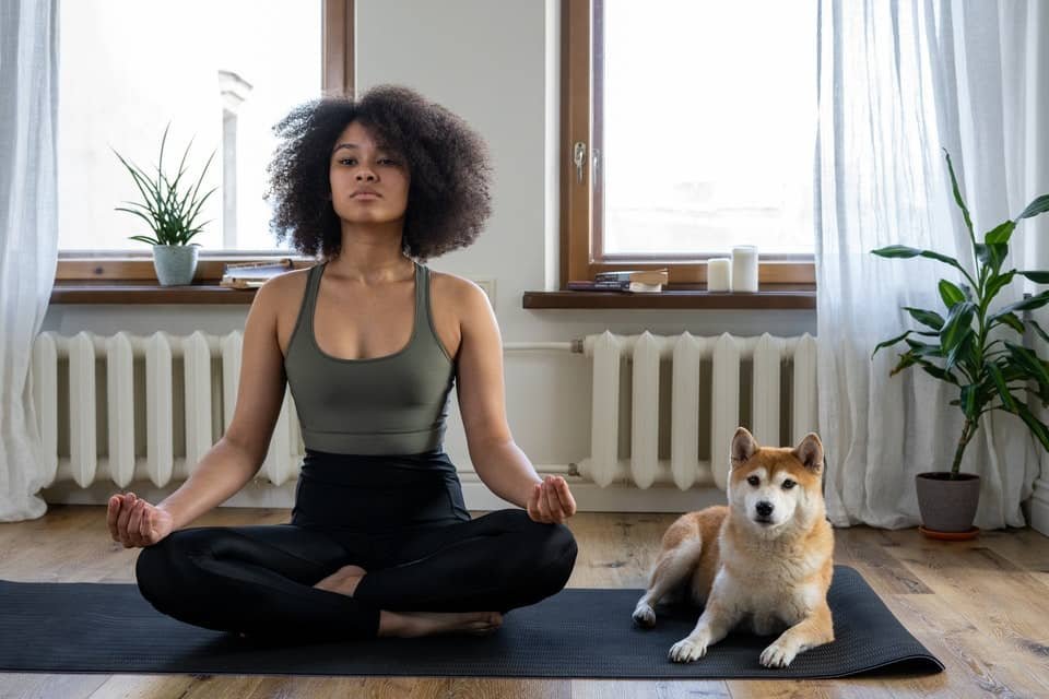 Yoga With Dogs