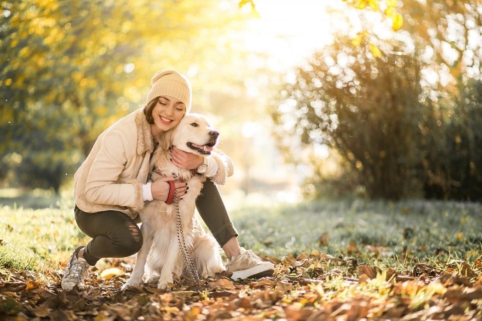 How to Train a Dog